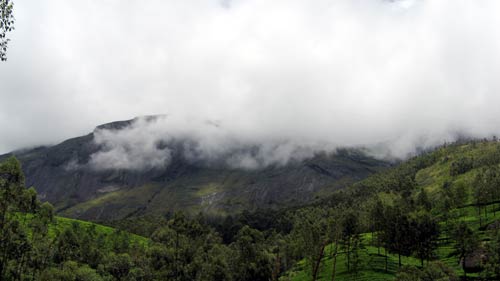 cloud forests
