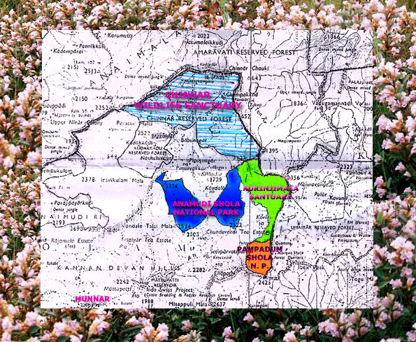 Map of proposed kurinjimala sanctuary
