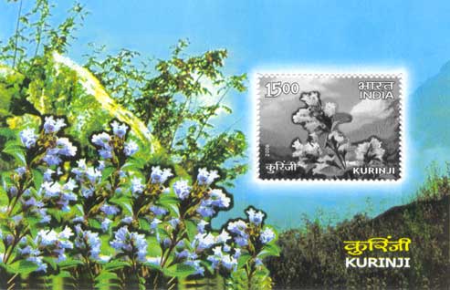 kurinji postal stamp